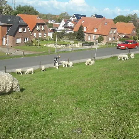 Haus Heimathafen Fedsiel