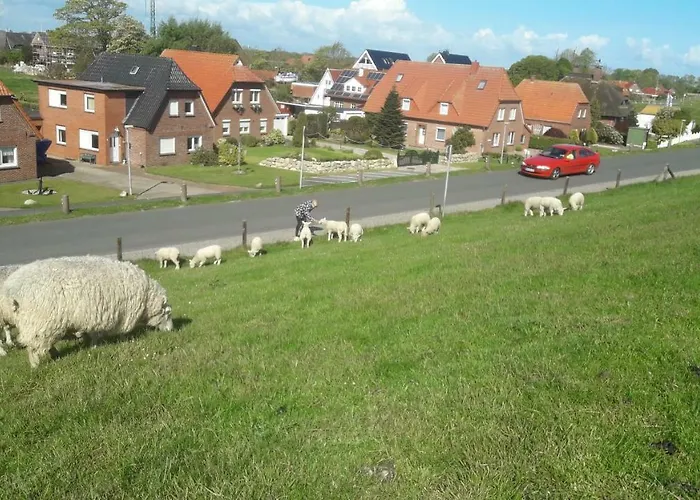 Haus Heimathafen Fedsiel